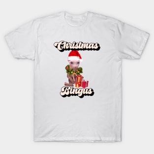 Christmas Bingus Meme - Funny Beloved Bingus Cat Design T-Shirt